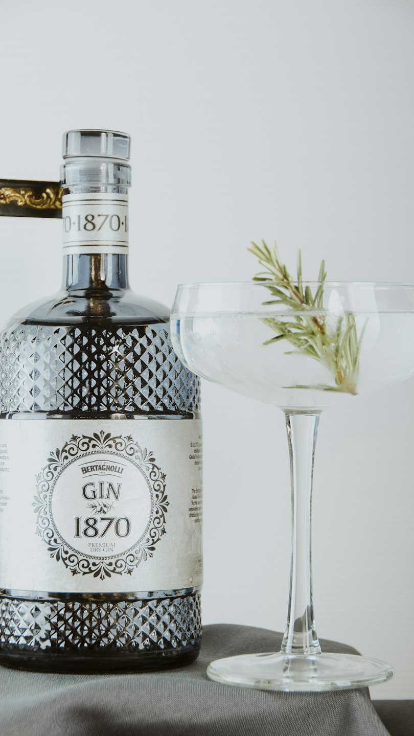 Bottiglia di gin Bertagnolli e bicchiere da martini su tessuto grigio.
